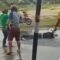 Viral..! Video Pria Terkapar di Sumenep Ditembak Bertubi-tubi Hingga Tewas