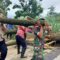 Sinergitas TNI/POLRI dan BPBD Pasuruan Atasi Pohon Tumbang