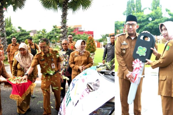 Mobil Sehat