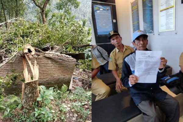 Tali Asih PT Bumisari Picu Konflik Sosial, Tanaman Warga Desa Pekel Banyuwangi Jadi Korban OTD