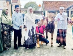 Pemkab Sumenep Melalui Dinsos P3A Salurkan Puluhan Hewan Kurban di Hari Raya Idul Adha