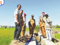 DKPP Sumenep Siapkan 225 Pompa Air Untuk PAT Padi