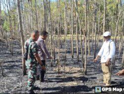 Berusaha Padamkan Api, Seorang Kakek di Pamekasan Tewas Terpapar Asap