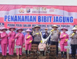 Dukung Swasembada Pangan Nasional, Polres Pamekasan Mulai Tanam Jagung