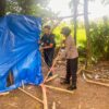 Sabung Ayam