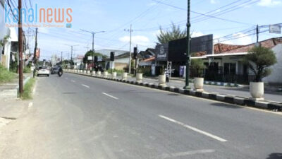 Tanaman Pot Hias