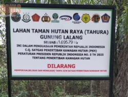 Seluas 80 HA Sawit “Amin Adil” Berada Diluar Tahura Gunung Lalang
