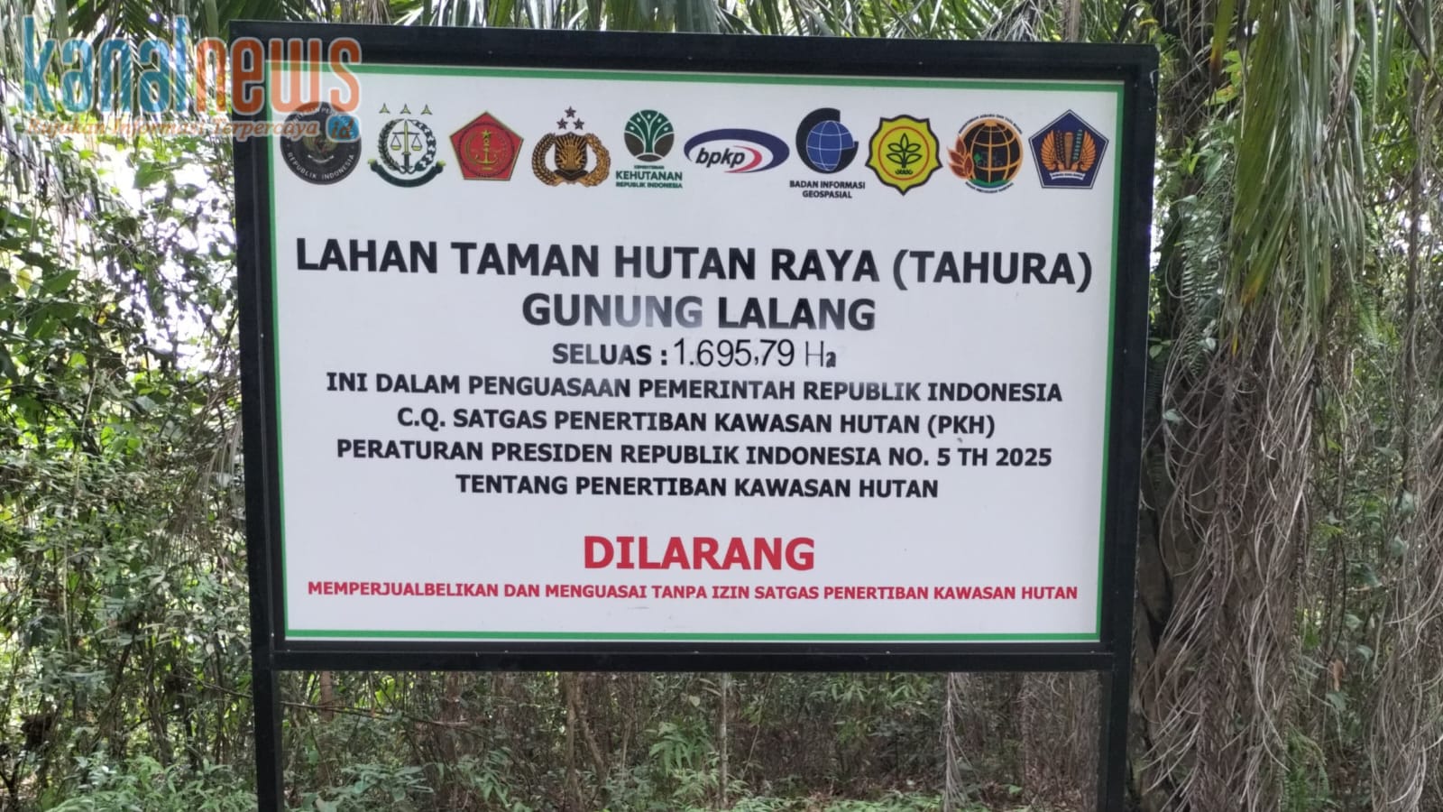 Kebun Sawit