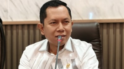 Mulyadi politisi Demokrat