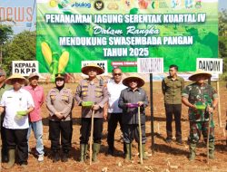 DKPP Sumenep Genjot Produksi Jagung Guna Dukung Swasembada Pangan Nasional