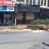 Penebangan pohon
