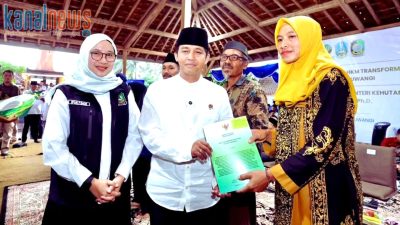 Program Tora
