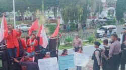 Aktivis Menyoroti Pabrik Porang di Reok, Diduga Melanggar Undang-undang Tentang Pengolahan Lingkungan Hidup