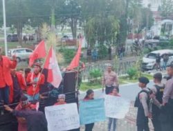 Aktivis Menyoroti Pabrik Porang di Reok, Diduga Melanggar Undang-undang Tentang Pengolahan Lingkungan Hidup