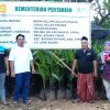 Melalui CV Lang Buana, Sumenep Tancap Gas Hilirisasi Lewat Bibit Kelapa Unggul