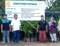 Melalui CV Lang Buana, Sumenep Tancap Gas Hilirisasi Lewat Bibit Kelapa Unggul