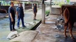 Jelang Idul Adha 1447 H, Satgas Pangan Ngawi Pastikan Hewan Kurban Bebas Penyakit