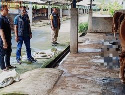 Jelang Idul Adha 1447 H, Satgas Pangan Ngawi Pastikan Hewan Kurban Bebas Penyakit