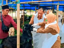 Jelang Idul Adha, Ribuan Hewan Kurban Diawasi Ketat DKPP Sumenep
