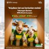 Tabungan Qurban