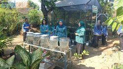 Pembinaan 10 Program Pokok PKK, Peran Kader PKK Jadi Ujung Tombak Desa
