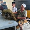 Target Serap 1000 Ton, H. Mukmin Mulai Beli Tembakau Petani Musim Panen 2026 di Gudang Lenteng
