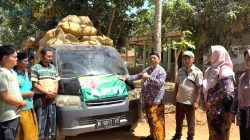 Buka Pasar Baru, DKPP Sumenep Lepas Penjualan Perdana Tembakau Prancak 95 ke Pabrik Djarum