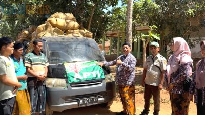 Penjualan Tembakau Prancak 95