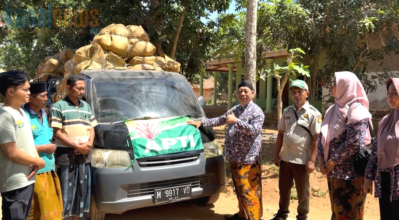 Penjualan Tembakau Prancak 95