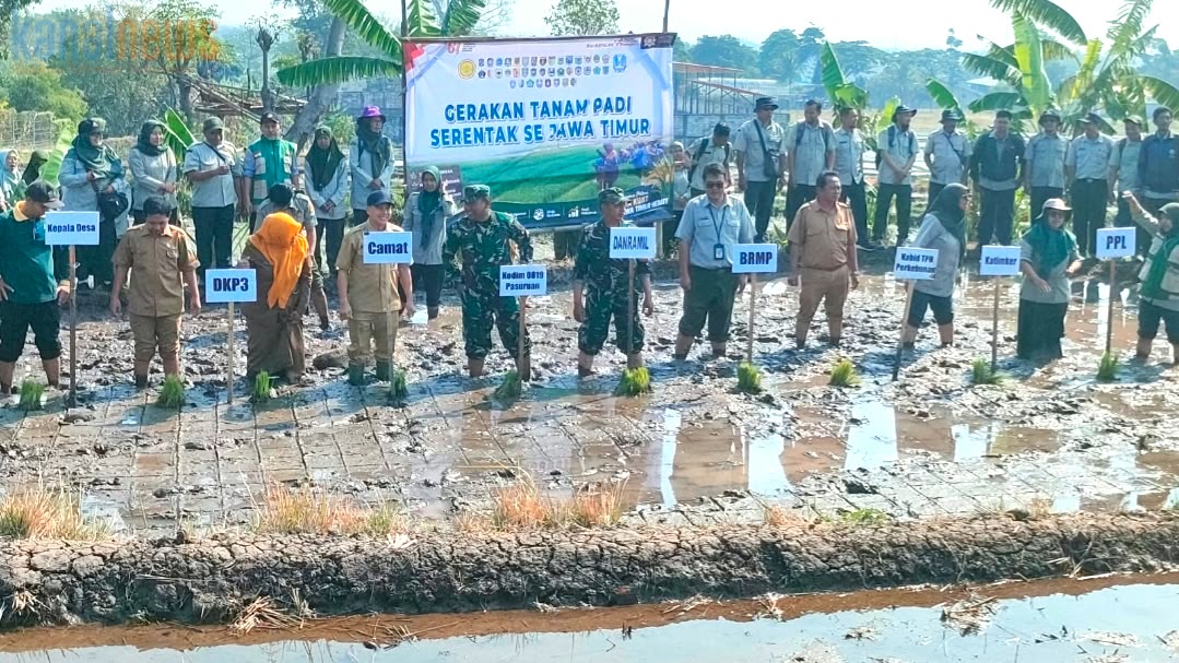 TNI Turun ke Sawah