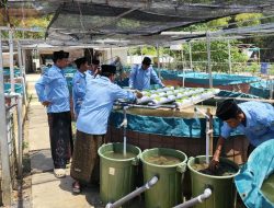 Mahasiswa KKN UA Posko 58 Sulap Limbah Kolam Lele Jadi Lahan Selada Akuaponik