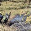 Karhutla Gunung Arjuno, Babinsa Bersama Relawan dan Tahura Sisir Area Terbakar