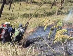 Karhutla Gunung Arjuno, Babinsa Bersama Relawan dan Tahura Sisir Area Terbakar